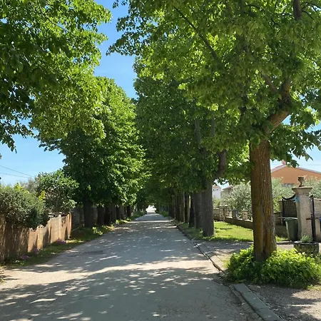 Lejlighed Apartment Vodnjan